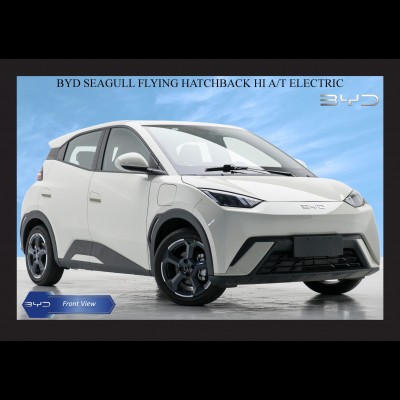 BYD SEAGULL FLYING HATCHBACK HI A/T ELECTRIC