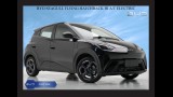 BYD SEAGULL FLYING HATCHBACK HI A/T ELECTRIC