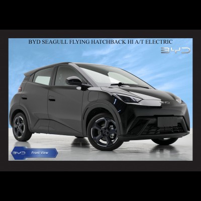BYD SEAGULL FLYING HATCHBACK HI A/T ELECTRIC